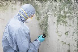 Best Mold Documentation for Insurance Claims  in Cleveland, WI